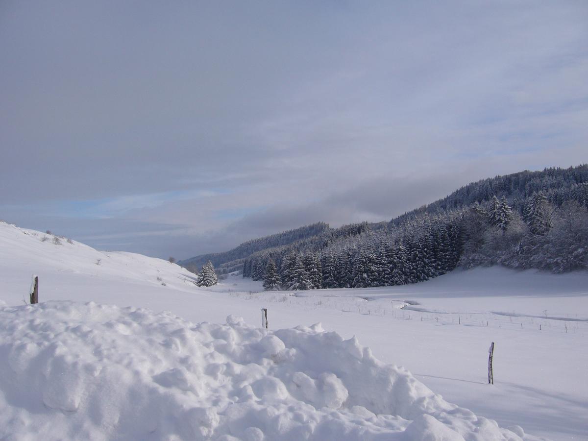 Hotel Auberge Du Grand Git La Chaux Neuve Экстерьер фото